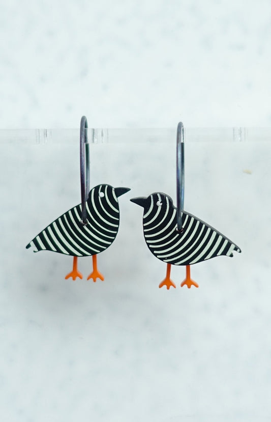 Fågel Svartvit Rand